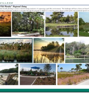 WhatsApp Image 2025-09-13 at 12.38.21 AM