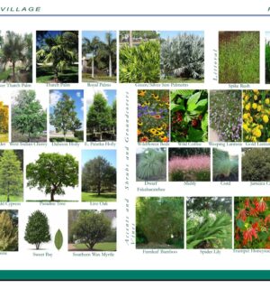 WhatsApp Image 2025-09-13 at 12.43.04 AM (2)